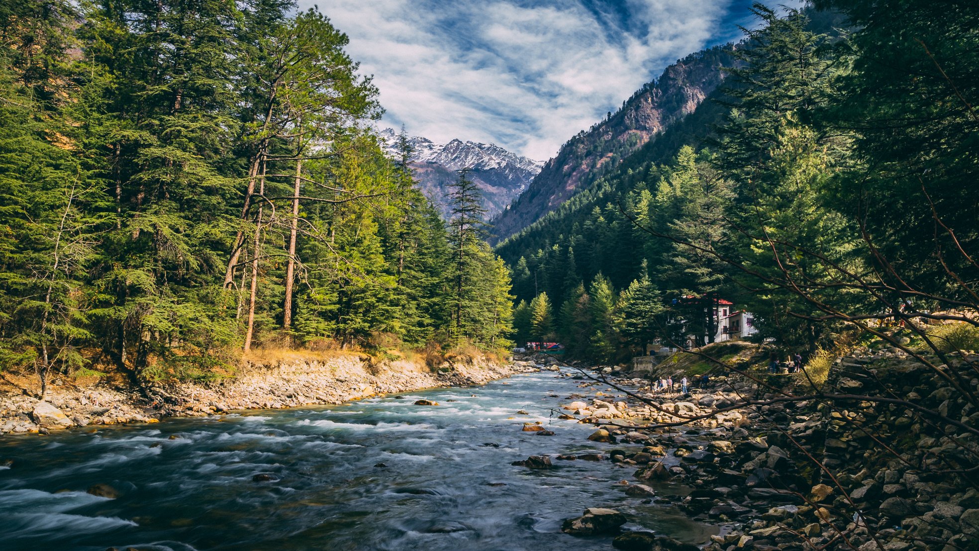 River Surround by Trees